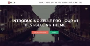 Zelle Pro (Zerif Pro)