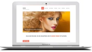 ZigZagPress Bijou WordPress Theme