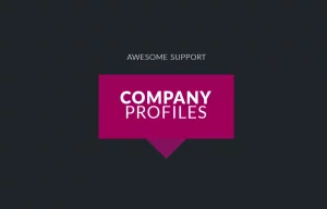 awesome support company profiles