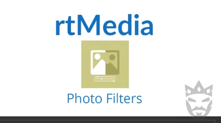 rtMedia Photo Filters