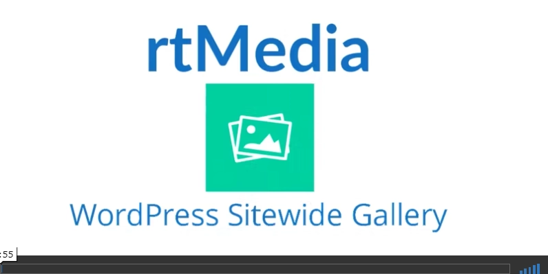 rtMedia WordPress Sitewide Gallery